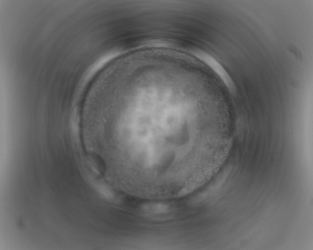 X0000114221051200910231439