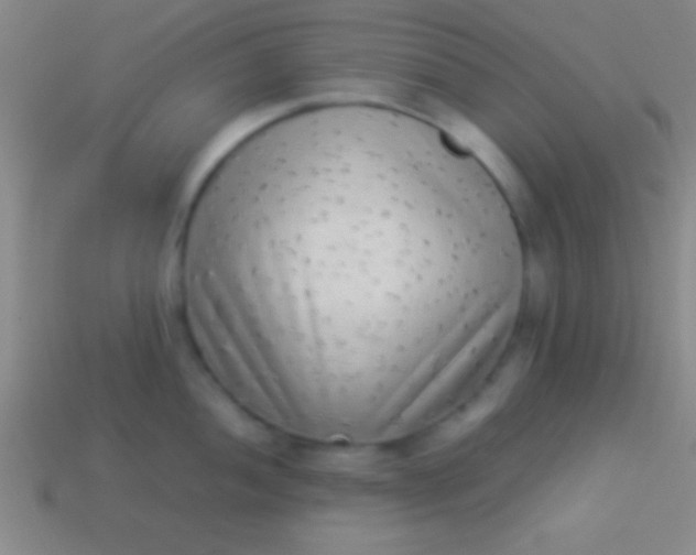 X0000114221052200910231439