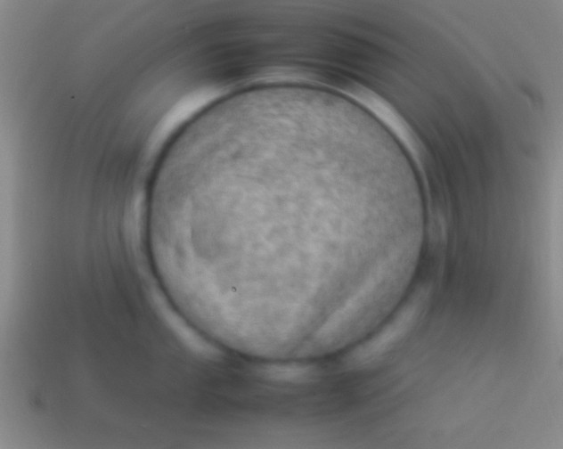 X0000114221053200910231439