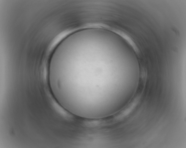 X0000114221054200910231439