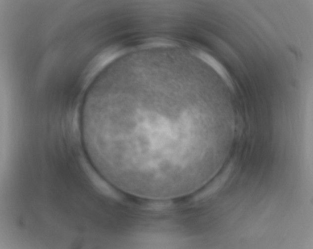 X0000114221055200910231439