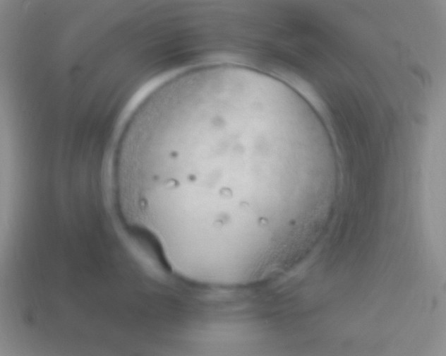 X0000114221056200910231439