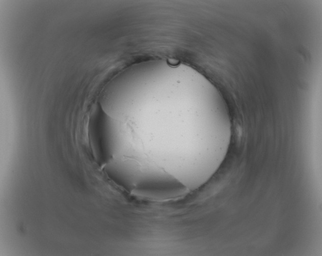 X0000114221057200910231439