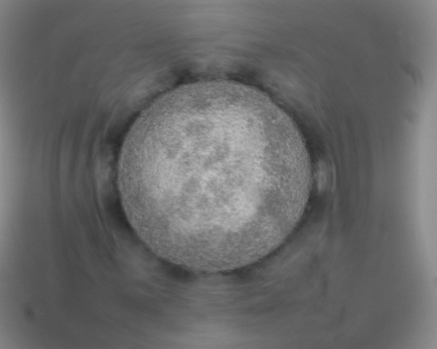 X0000114221059200910231438