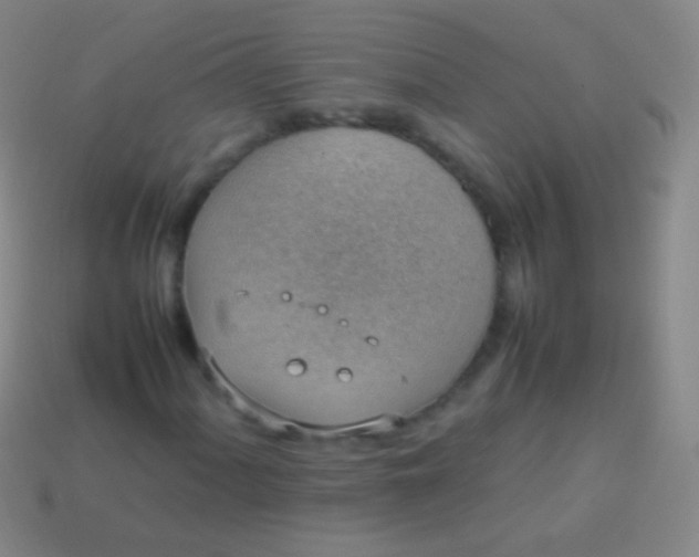 X0000114221060200910231438