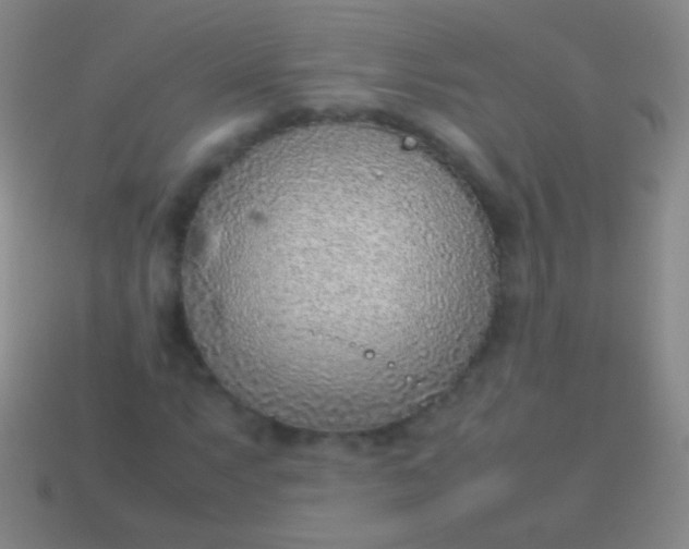 X0000114221063200910231438