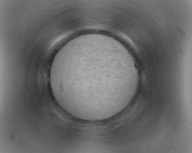 X0000114221064200910231438