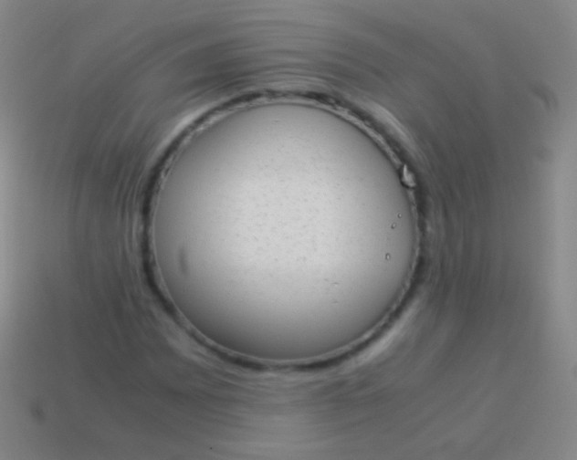 X0000114221065200910231438