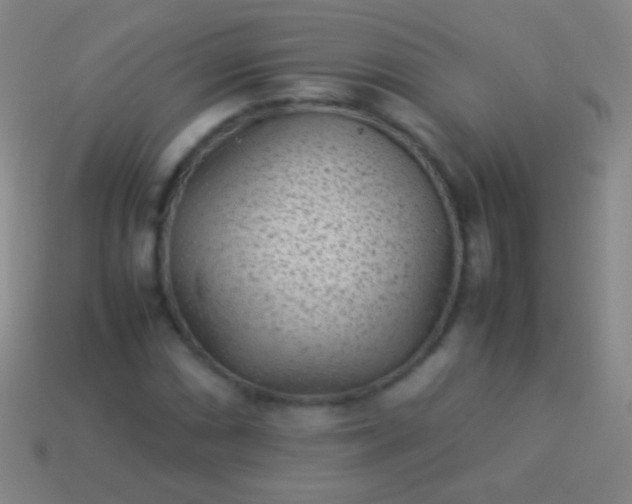 X0000114221066200910231438