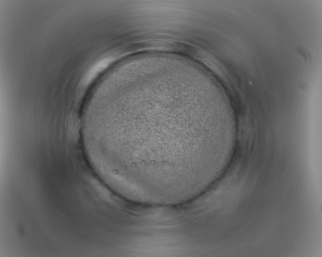 X0000114221067200910231438