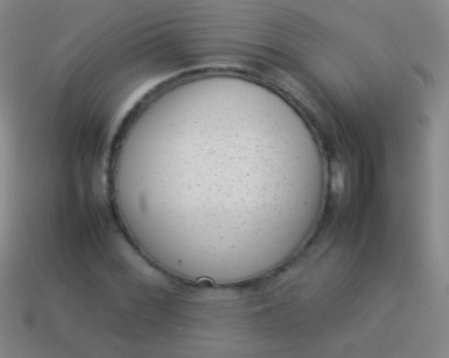 X0000114221068200910231438