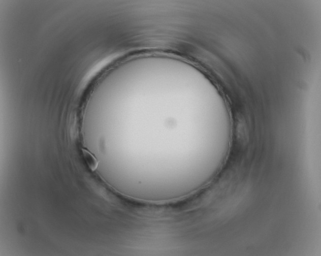 X0000114221069200910231438