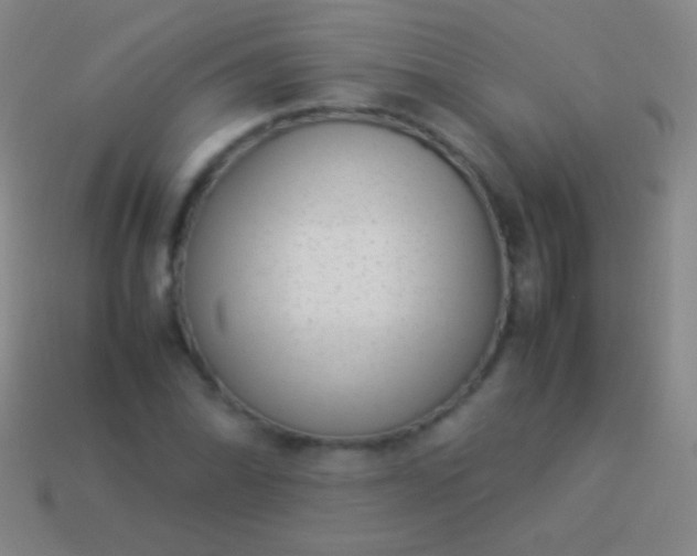 X0000114221070200910231438