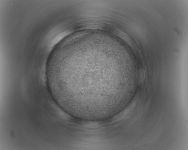 X0000114221071200910231438