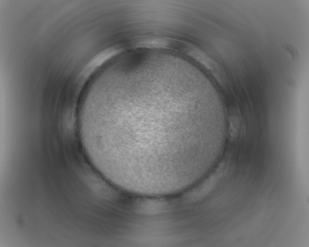 X0000114221074200910231438