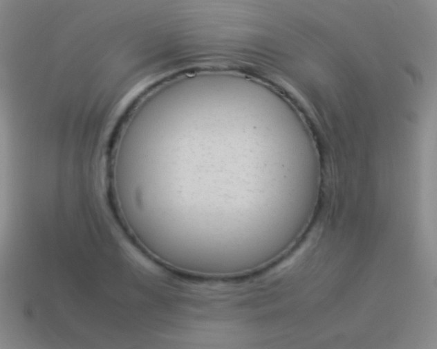 X0000114221075200910231438