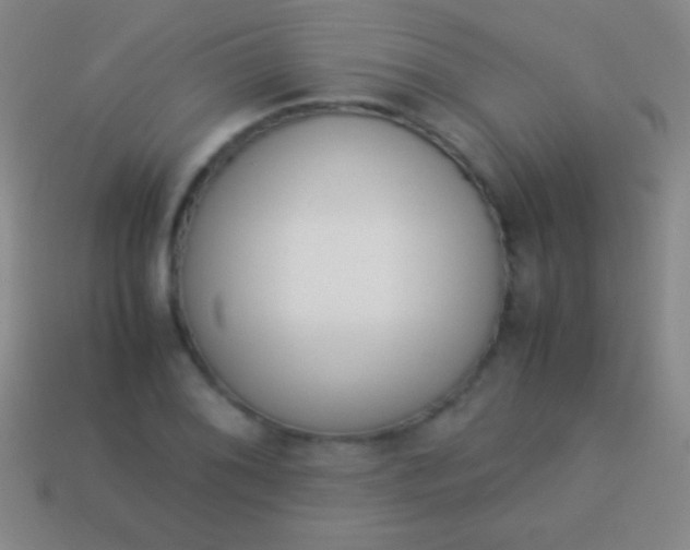 X0000114221076200910231438