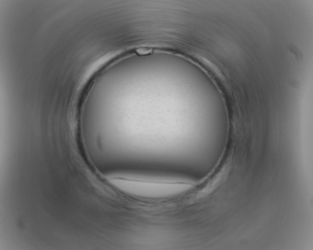 X0000114221077200910231438