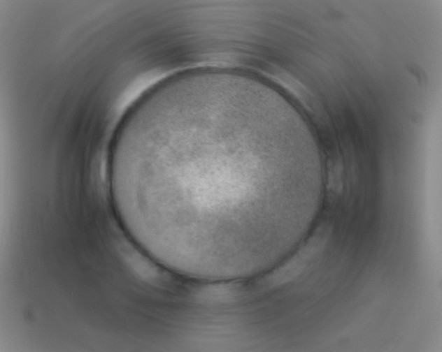 X0000114221078200910231438