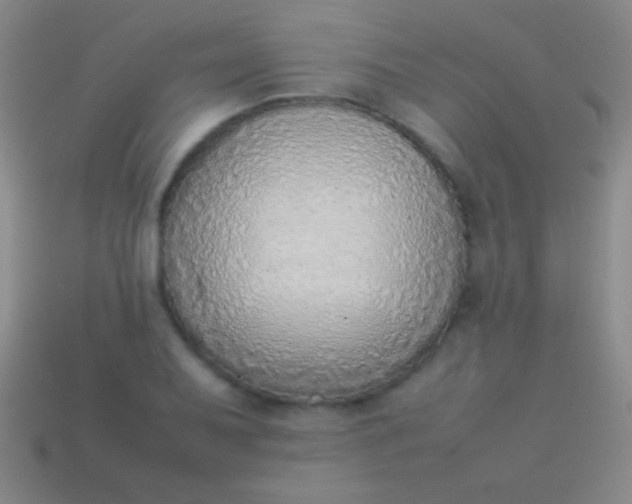 X0000114221079200910231438