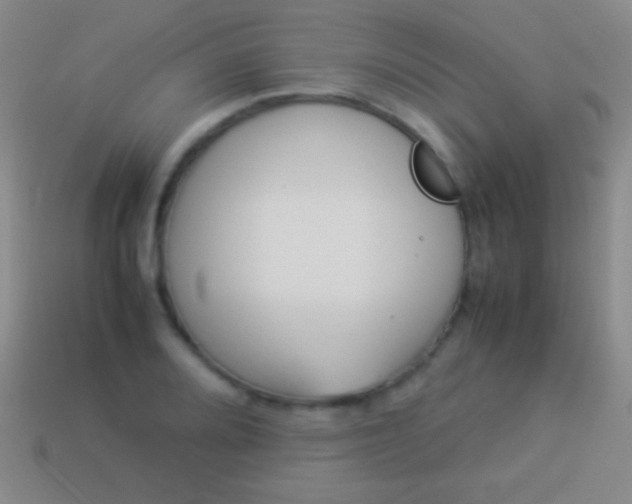 X0000114221080200910231438