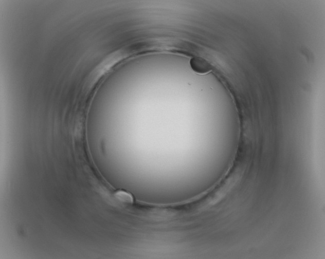 X0000114221081200910231438