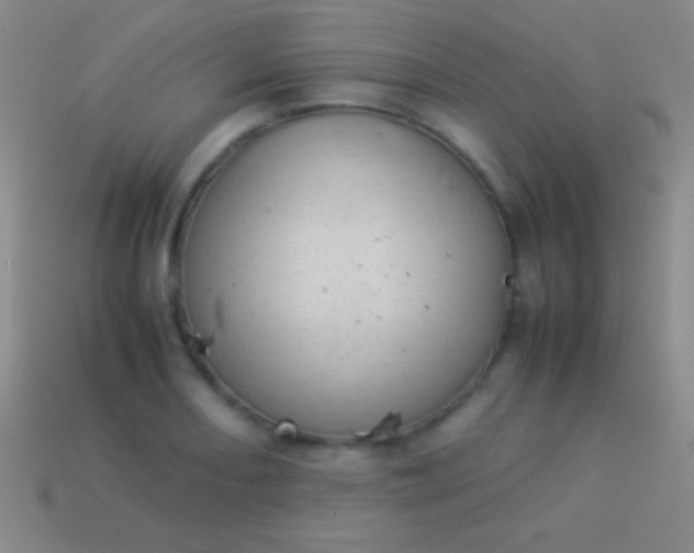 X0000114221082200910231438