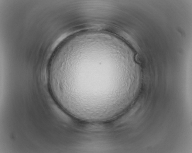 X0000114221083200910231438