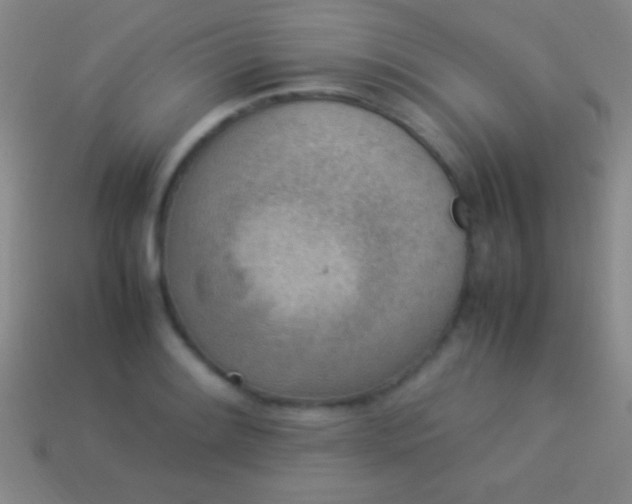 X0000114221084200910231438