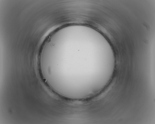 X0000114221085200910231438