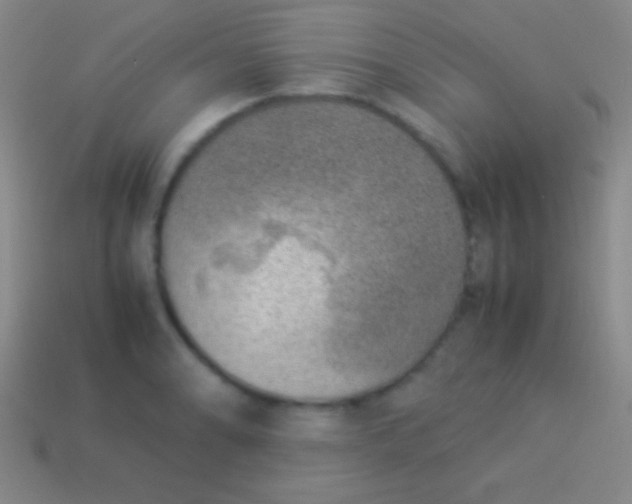 X0000114221086200910231438