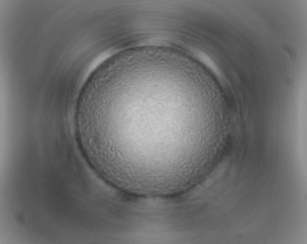 X0000114221087200910231438