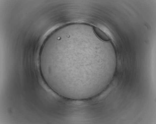 X0000114221088200910231438