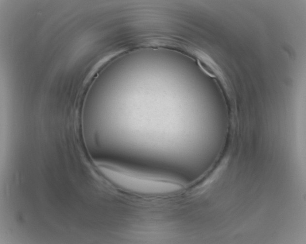 X0000114221089200910231438