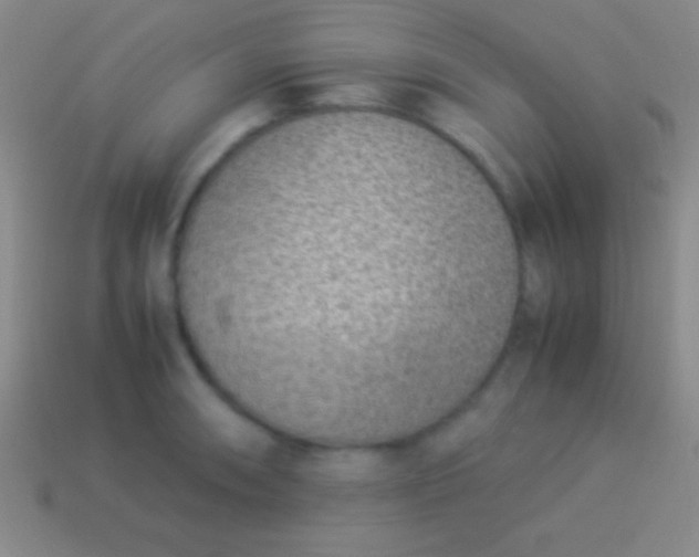 X0000114221090200910231438