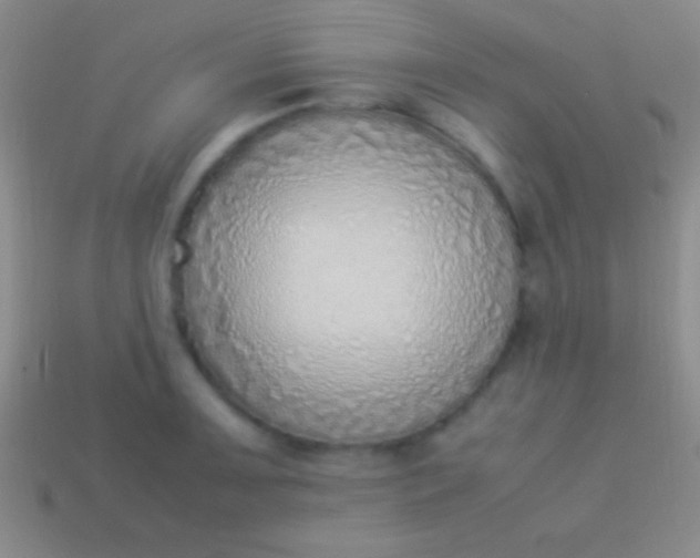 X0000114221091200910231438