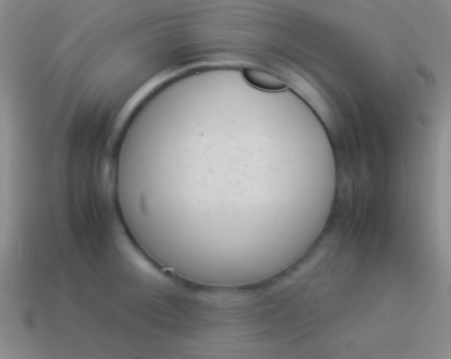 X0000114221092200910231438