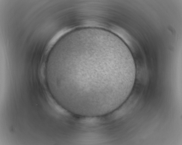 X0000114221094200910231438