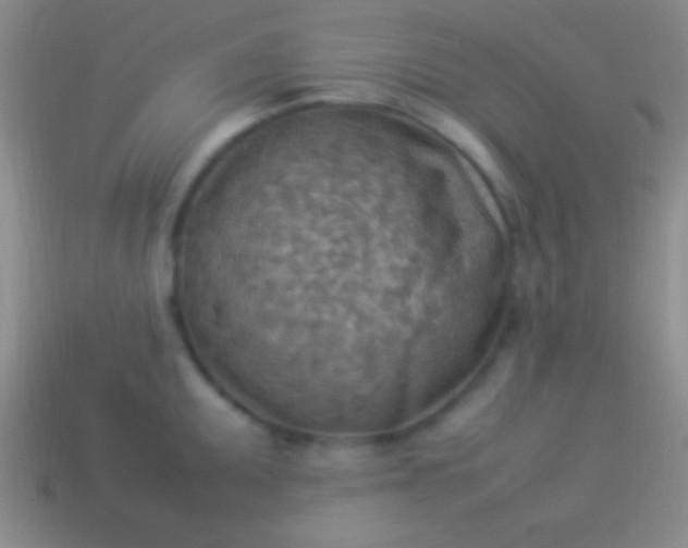 X0000114221095200910231438