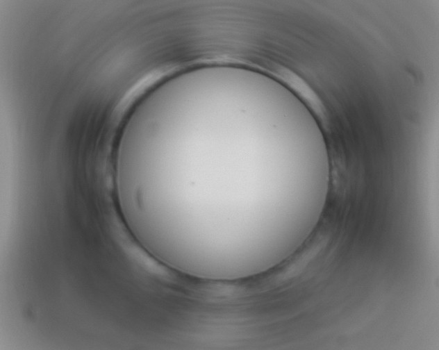 X0000114221096200910231438