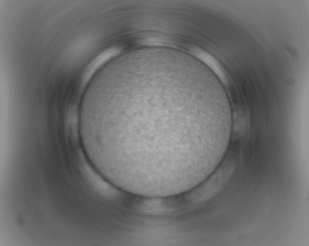 X0000114221098200910231438