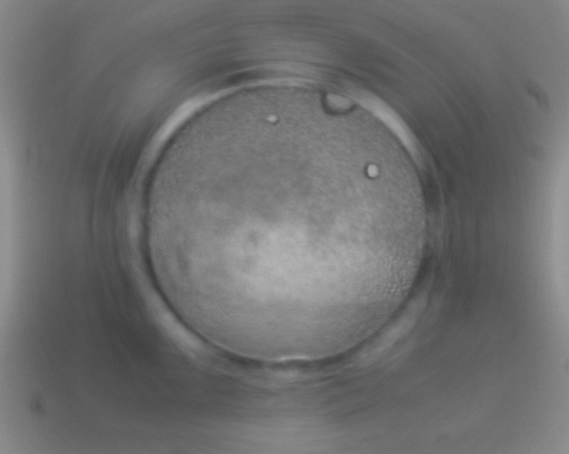 X0000114221099200910231438