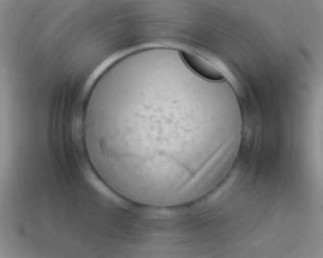 X0000114221100200910231438