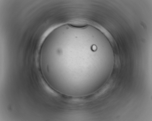 X0000114221102200910231438