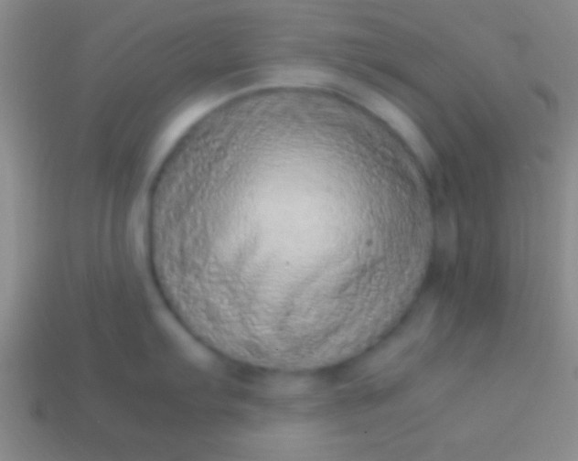 X0000114221103200910231438