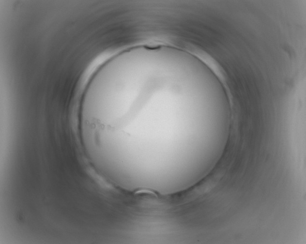 X0000114221104200910231438