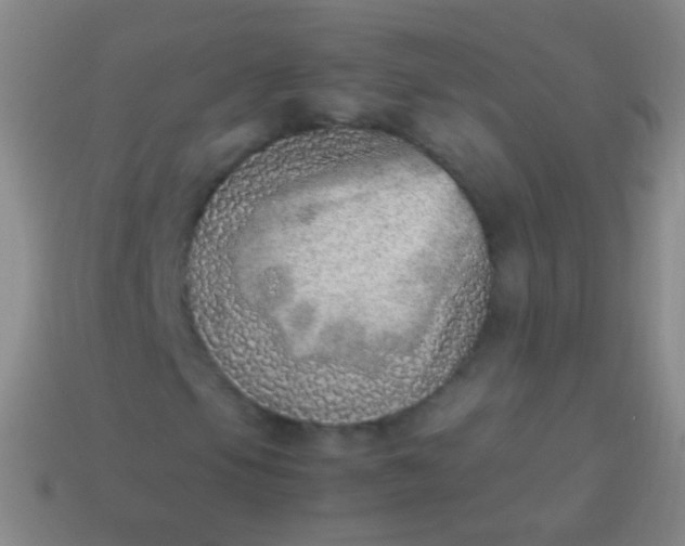 X0000114221105200910231437