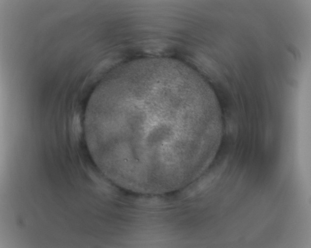 X0000114221106200910231437