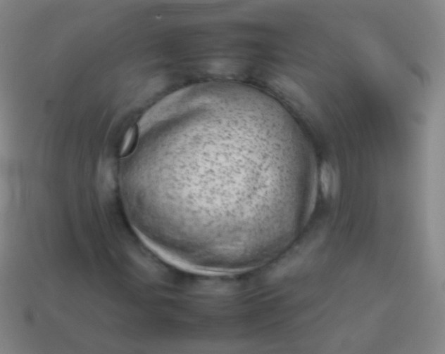 X0000114221107200910231437