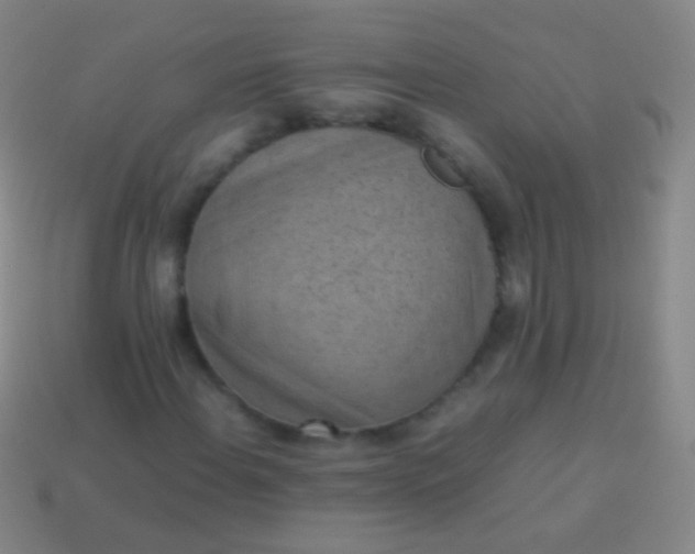 X0000114221108200910231437